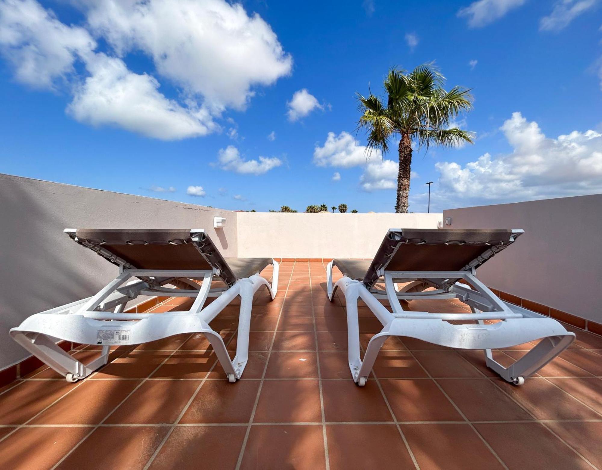House Boho Palm With Private Heated Pool And Garden, 3 Bedrooms, Wi-fi Willa *