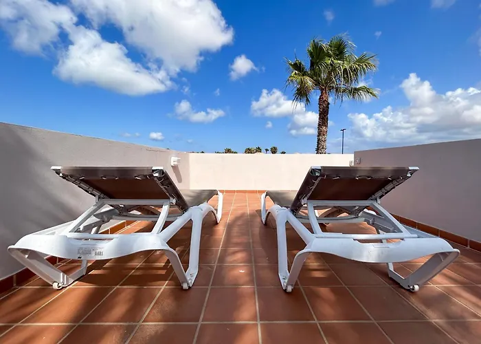 House Boho Palm With Private Heated Pool And Garden, 3 Bedrooms, Wi-Fi